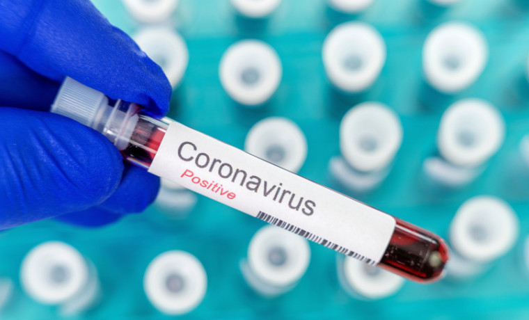 В Китае заявили о появлении нового коронавируса