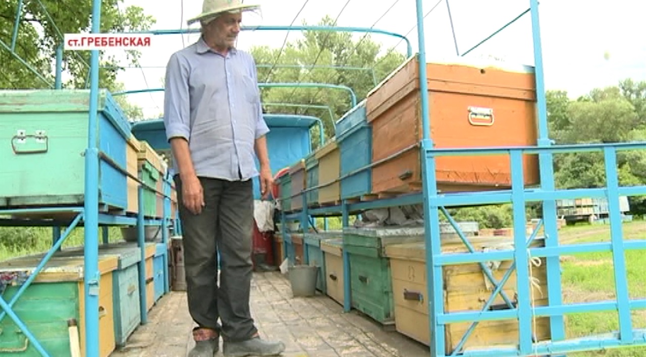 Ваха Зулумханов уже 15 лет занимается пчеловодством