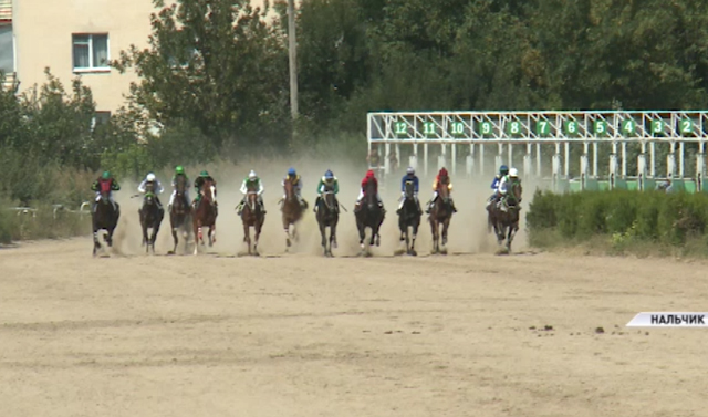 В Нальчике прошли конные скачки приуроченные к 68-й годовщине со дня рождения Ахмата-Хаджи Кадырова