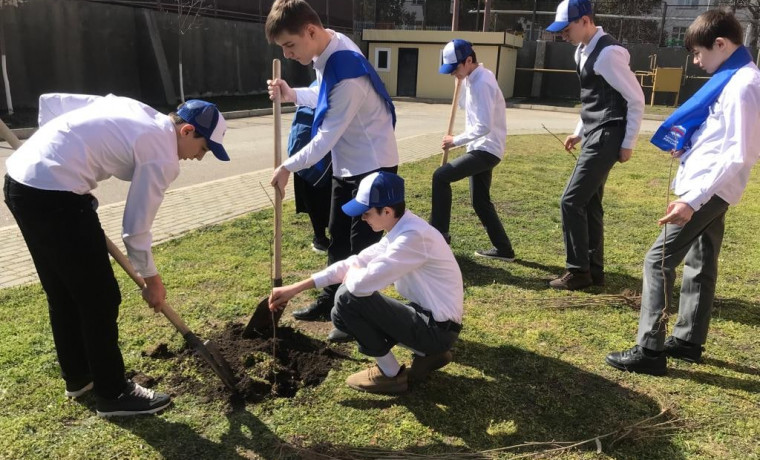 Более 3 тысяч молодых деревьев ясеня и кедра высадили в Чеченской Республике