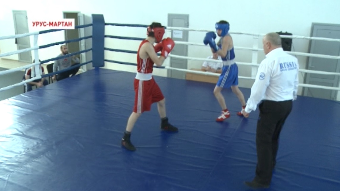 В Чечне стартовал турнир по боксу