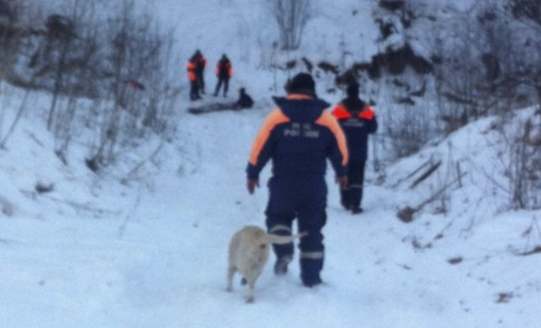 Чеченские спасатели призывают сборщиков черемши регистрировать свои маршруты