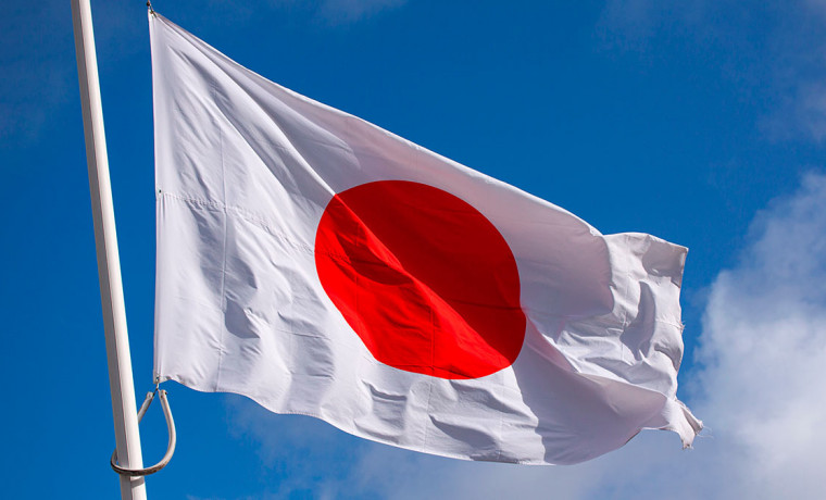 Санкции Японии не станут критичными для России, заявили эксперты