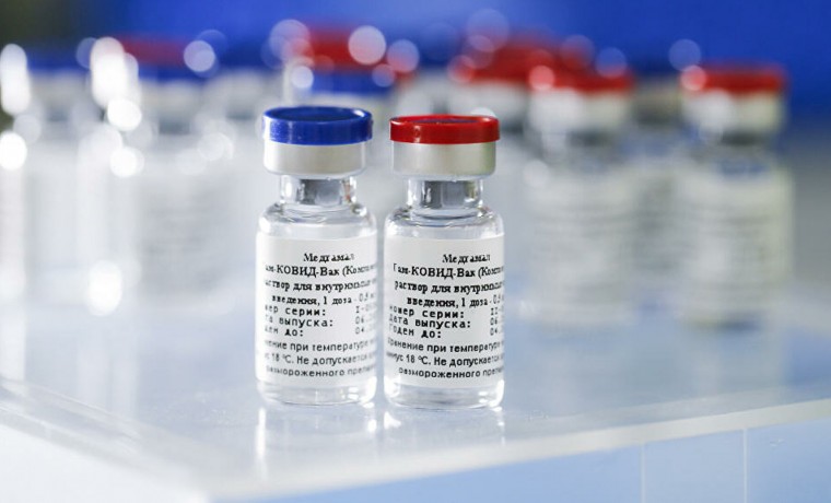 ВОЗ считает, что все три российские вакцины РФ получат рекомендацию к использованию
