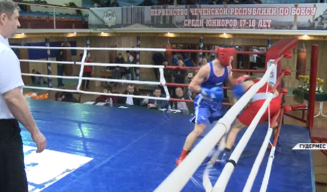 В Гудермесе прошло первенство Чечни по боксу среди юношей 17-18 лет
