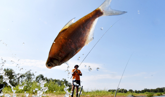 В ЧР пройдет первый фестиваль рыболовного туризма «Грозная рыбалка»