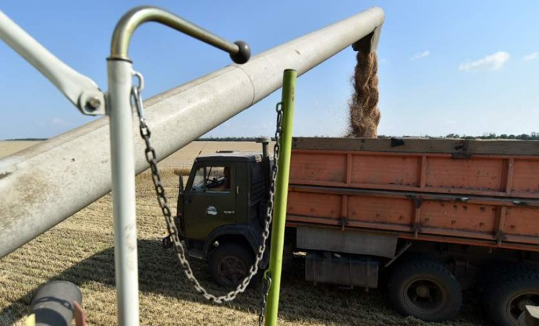 Путин спрогнозировал урожай зерновых размером более 140 млн т