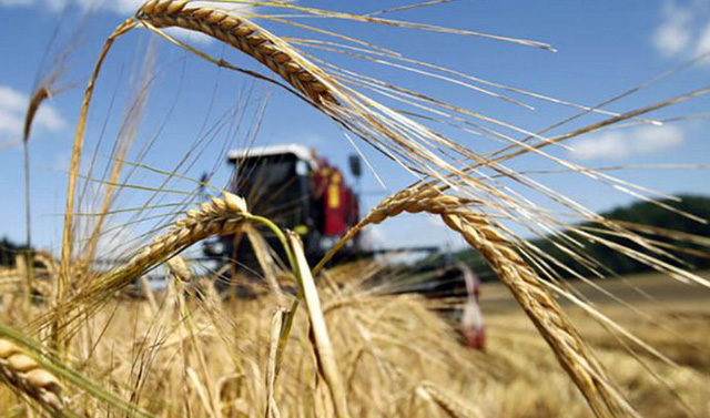 Камбин утвердил распределение 27 млрд рублей регионам на субсидии аграриям