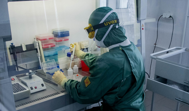 В России провели более 14 млн тестов на коронавирус 