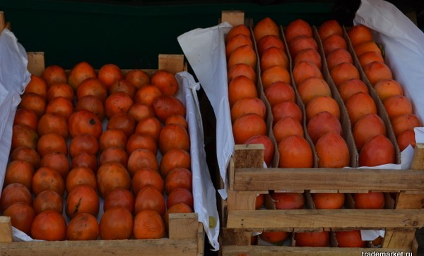 Россельхознадзор проконтролировал импорт 73 тонн фруктов из Азербайджана в Чеченскую Республику