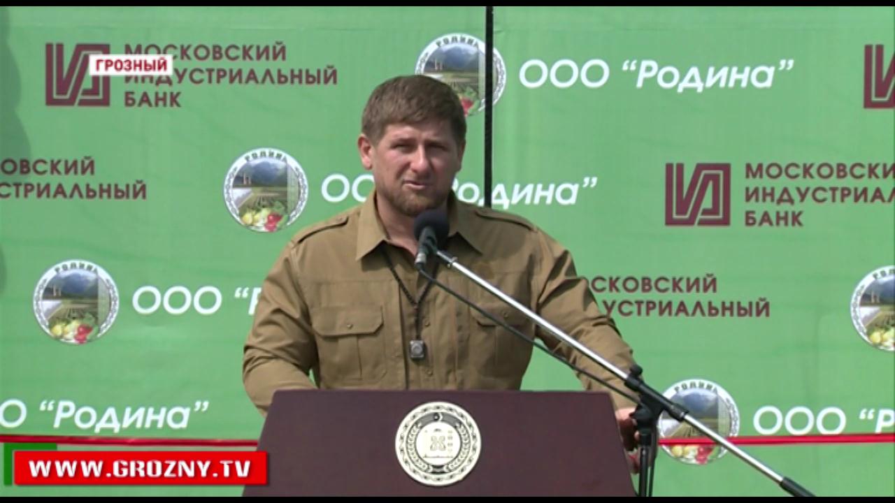 Рамзан Кадыров и гости республики приняли участие в открытии тепличного хозяйства «Родина»