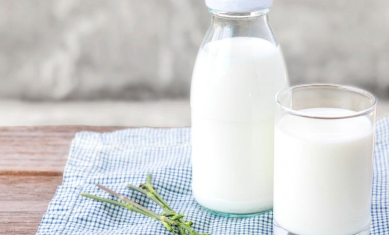 В РФ запустят производство гипоаллергенных молочных продуктов