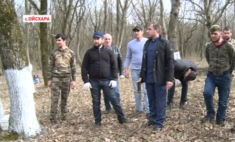 В Гудермесском и Курчалоевском районах прошли субботники