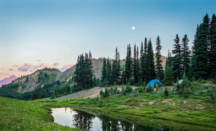 Актуальность экопутешествий