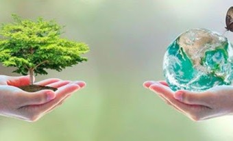 2% экологических штрафов в 2020 году были направлены на защиту окружающей среды