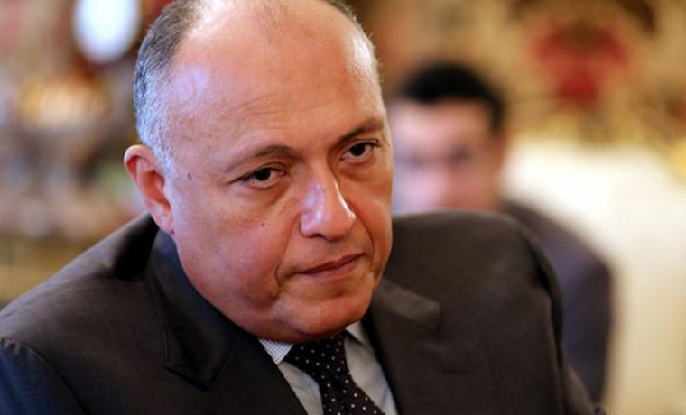 Глава МИД Египта планирует посетить Россию 20-21 августа