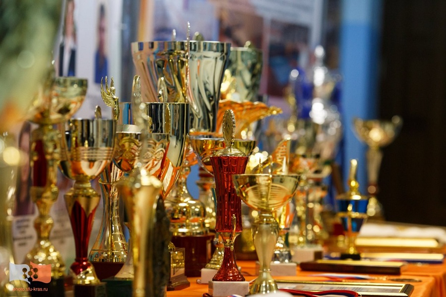 Sporting achievements of the Chechen Republic in year 2013 